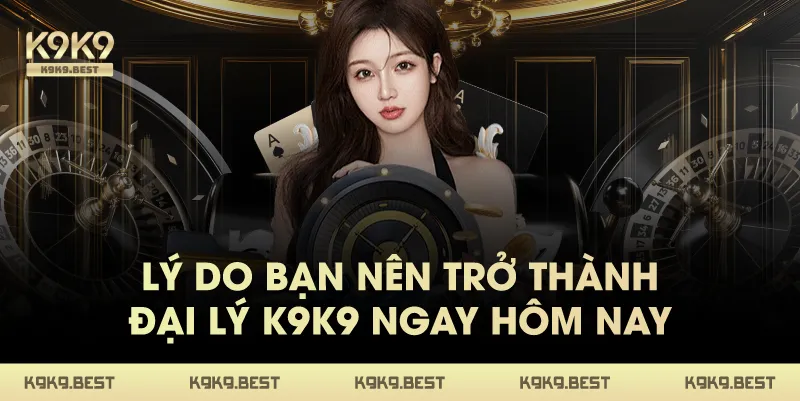 Lý Do Bạn Nên Trở Thành Đại Lý K9K9 Ngay Hôm Nay
